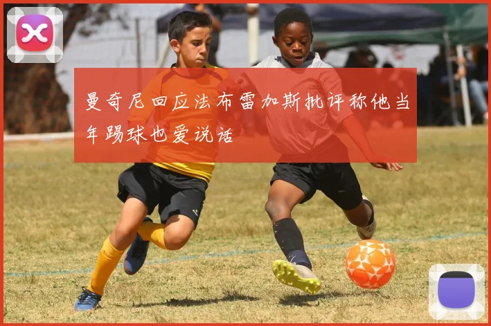 曼奇尼回应法布雷加斯批评称他当年踢球也爱说话