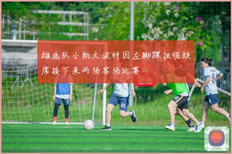 雄鹿队小凯文波特因左脚踝扭伤缺席接下来两场客场比赛
