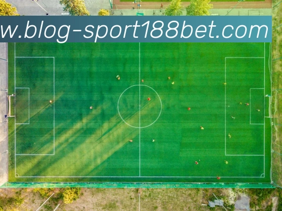 188bet体育APP 封面图